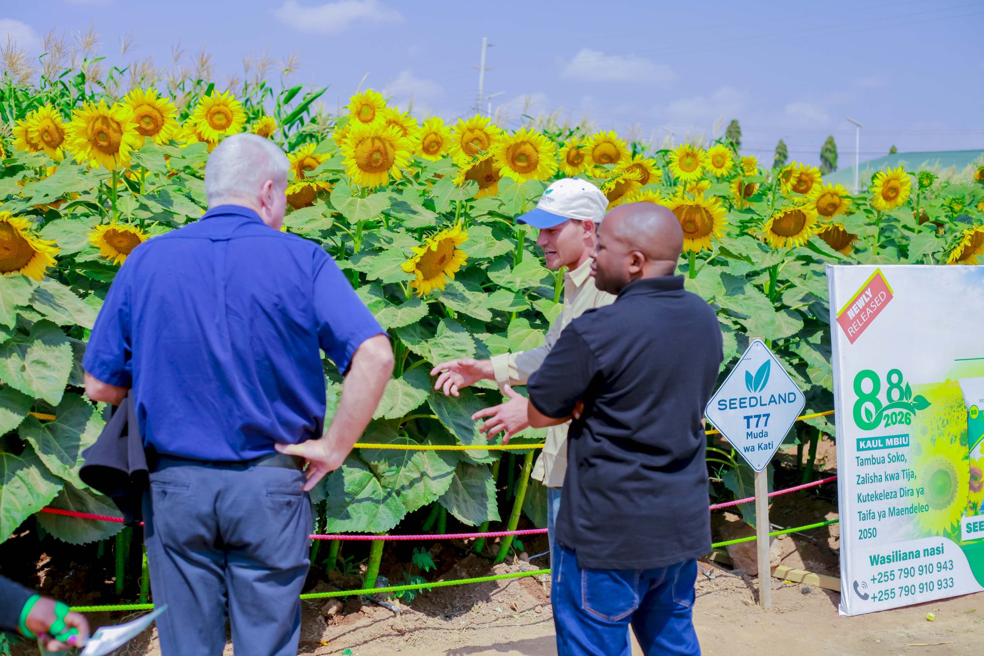 About Seedland Ltd